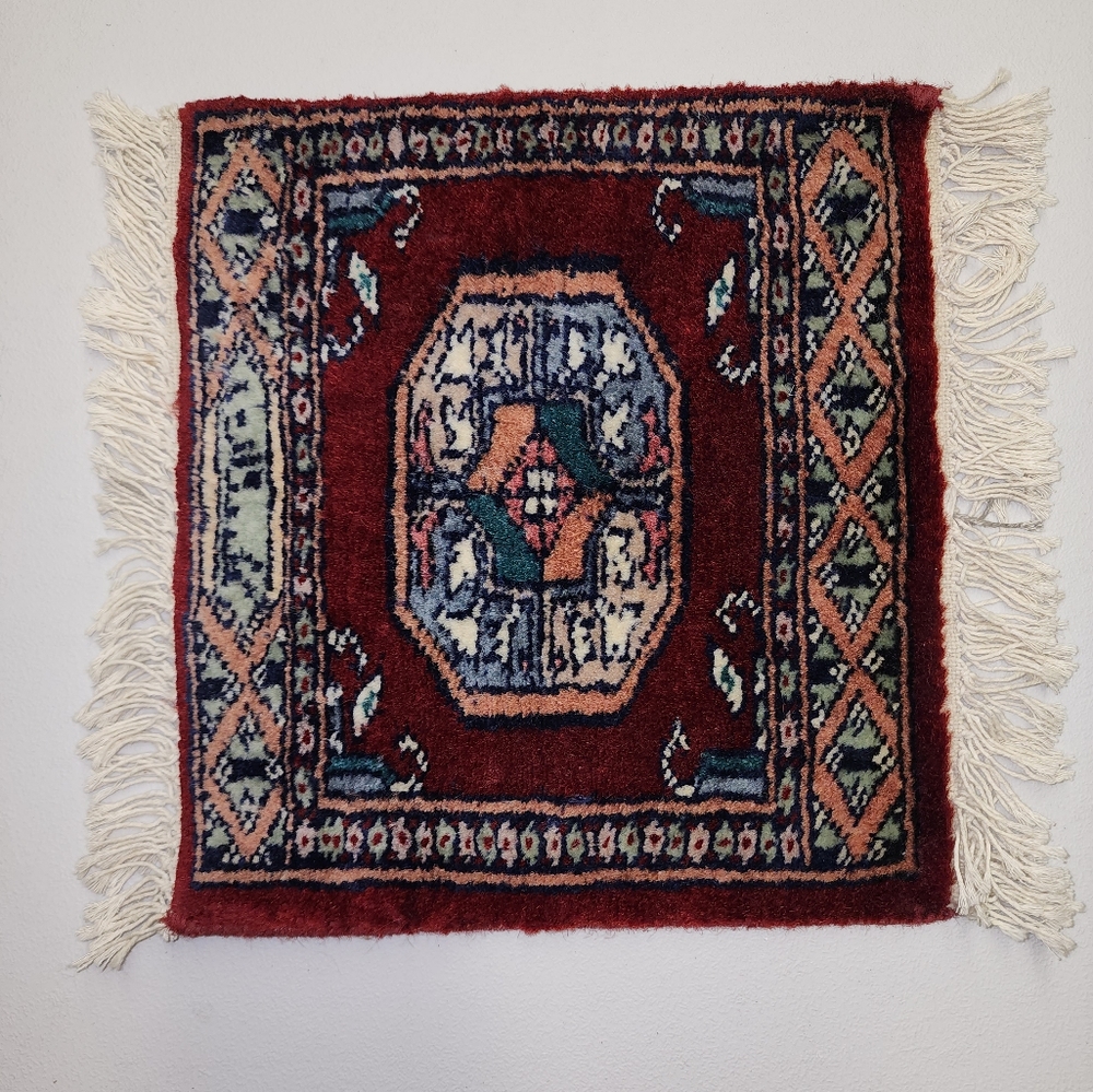 Hand knotted rug Pakistani rug accent rug